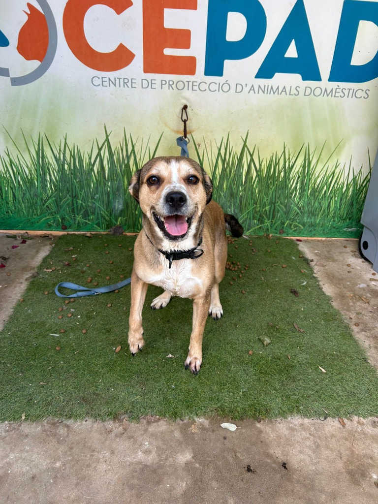 HERA